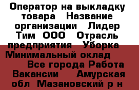 Оператор на выкладку товара › Название организации ­ Лидер Тим, ООО › Отрасль предприятия ­ Уборка › Минимальный оклад ­ 28 000 - Все города Работа » Вакансии   . Амурская обл.,Мазановский р-н